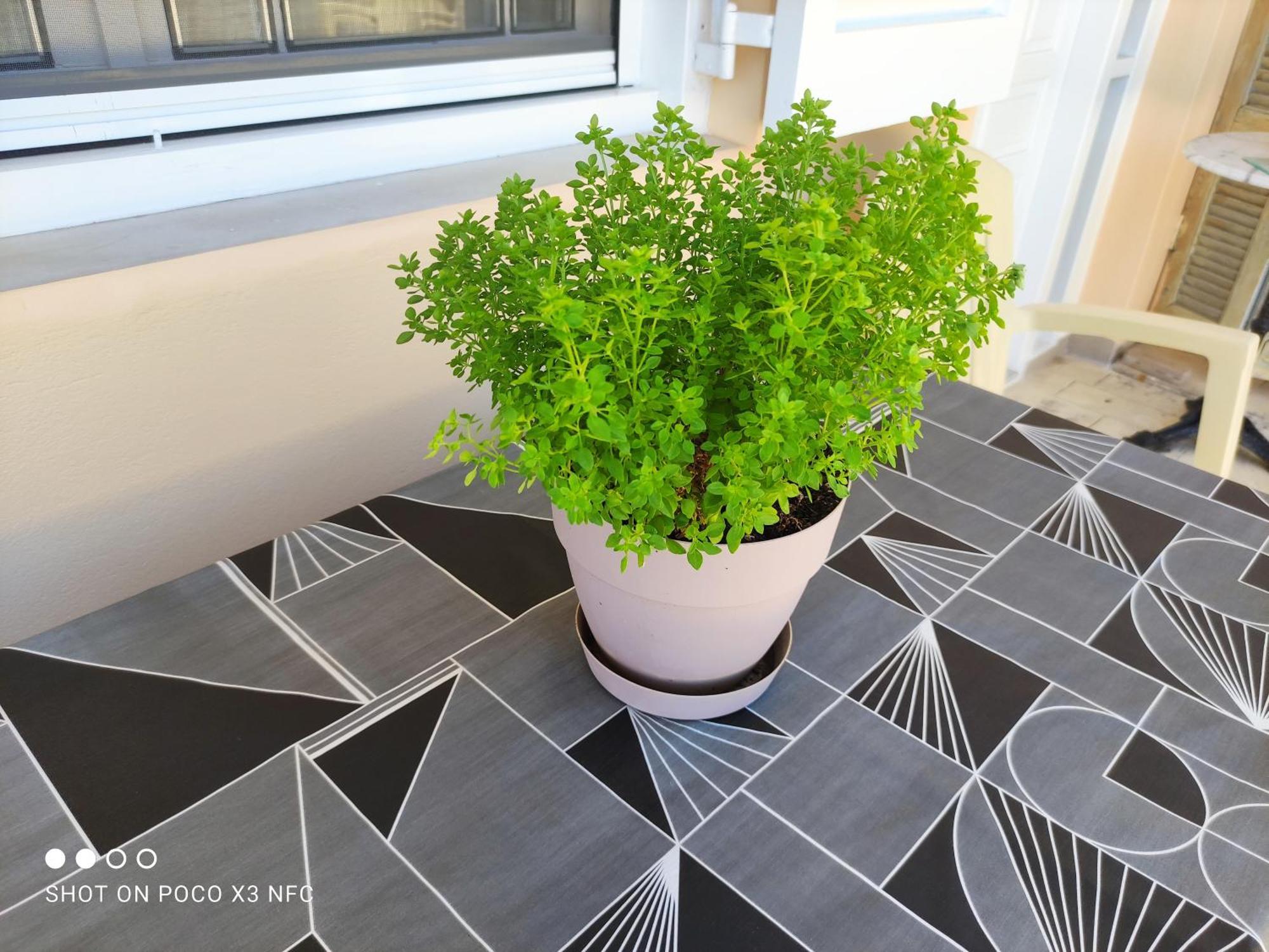 Manousos Apartment Lefkada City Ngoại thất bức ảnh